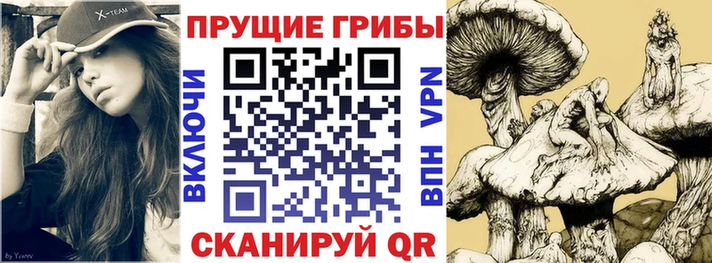 Псилоцибиновые грибы мухоморы  даркнет сайт  Усть-Кут 
